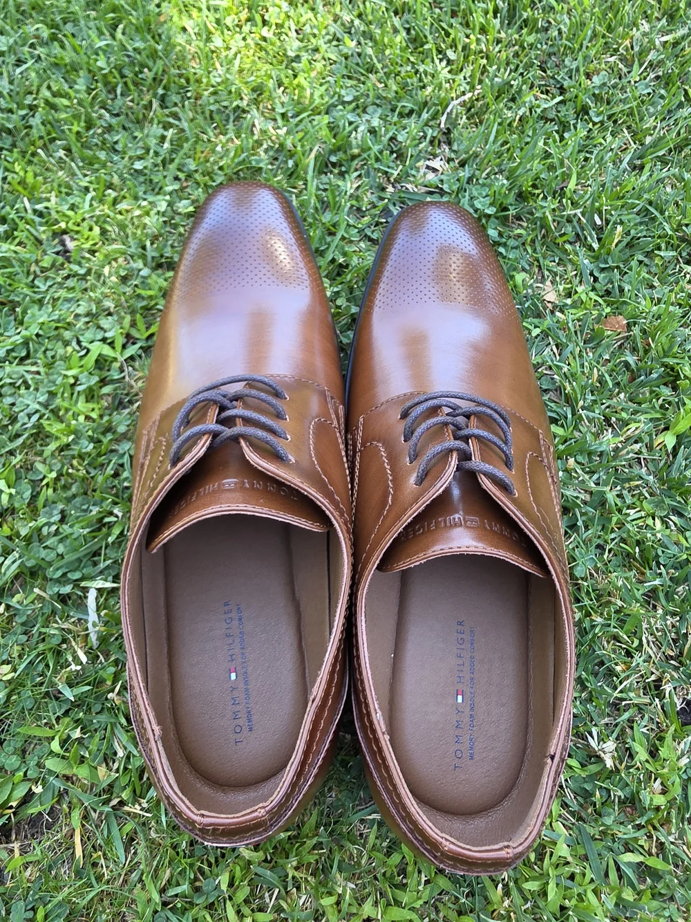 Tommy Hilfiger Brown Leather Derby Shoes